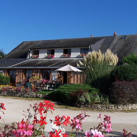 Logis Hotel Restaurant Le Vieux Fusil Soings-en-Sologne Ngoại thất bức ảnh
